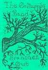 wp41c5a5d7.png